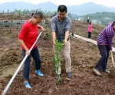 柑橘種植技術(shù)有聲書籍_幼樹(shù)6月可以追尿素嗎