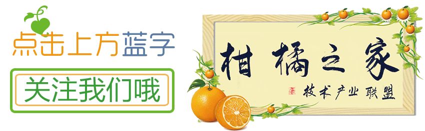 柑橘小老樹復(fù)壯技術(shù)（柑橘小老樹復(fù)壯技術(shù)要點）