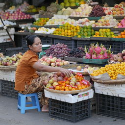 盆景桔子樹怎么養(yǎng)需要什么肥料（盆景桔子樹怎么養(yǎng)需要什么肥料最好）