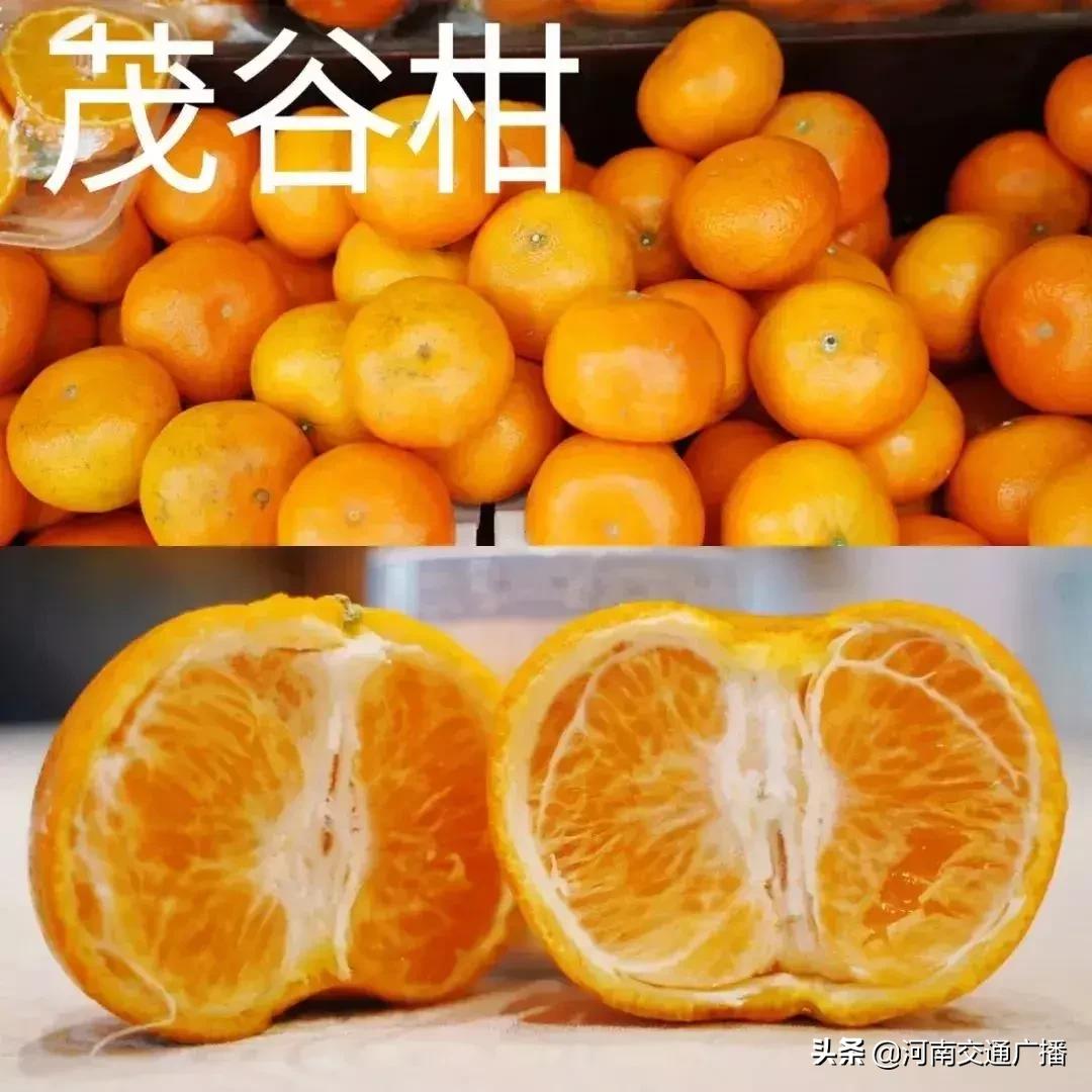 沃柑和粑粑柑的營(yíng)養(yǎng)價(jià)值一樣嗎_沃柑耙耙柑不知火和黃果柑