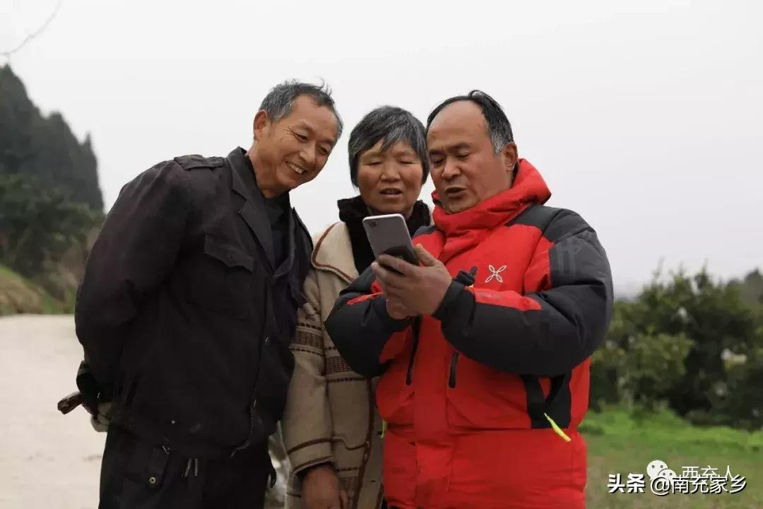 春見柑橘種植手藝視頻大全_在南方農(nóng)村地域種植什么生果效益高